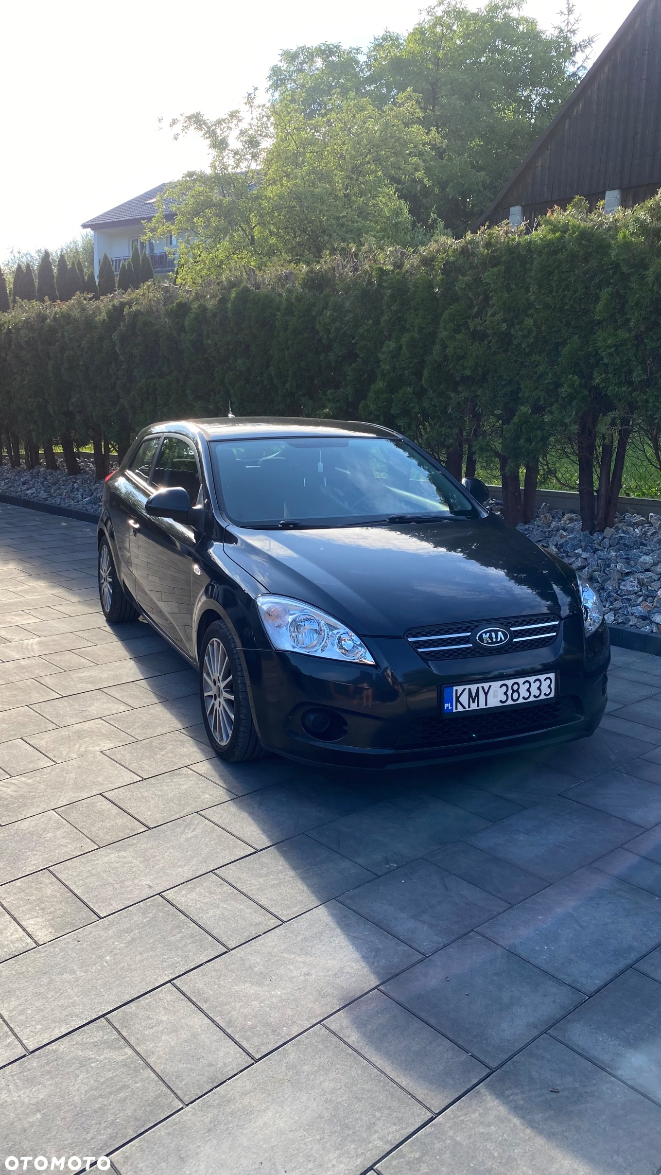 Kia ProCeed - 2