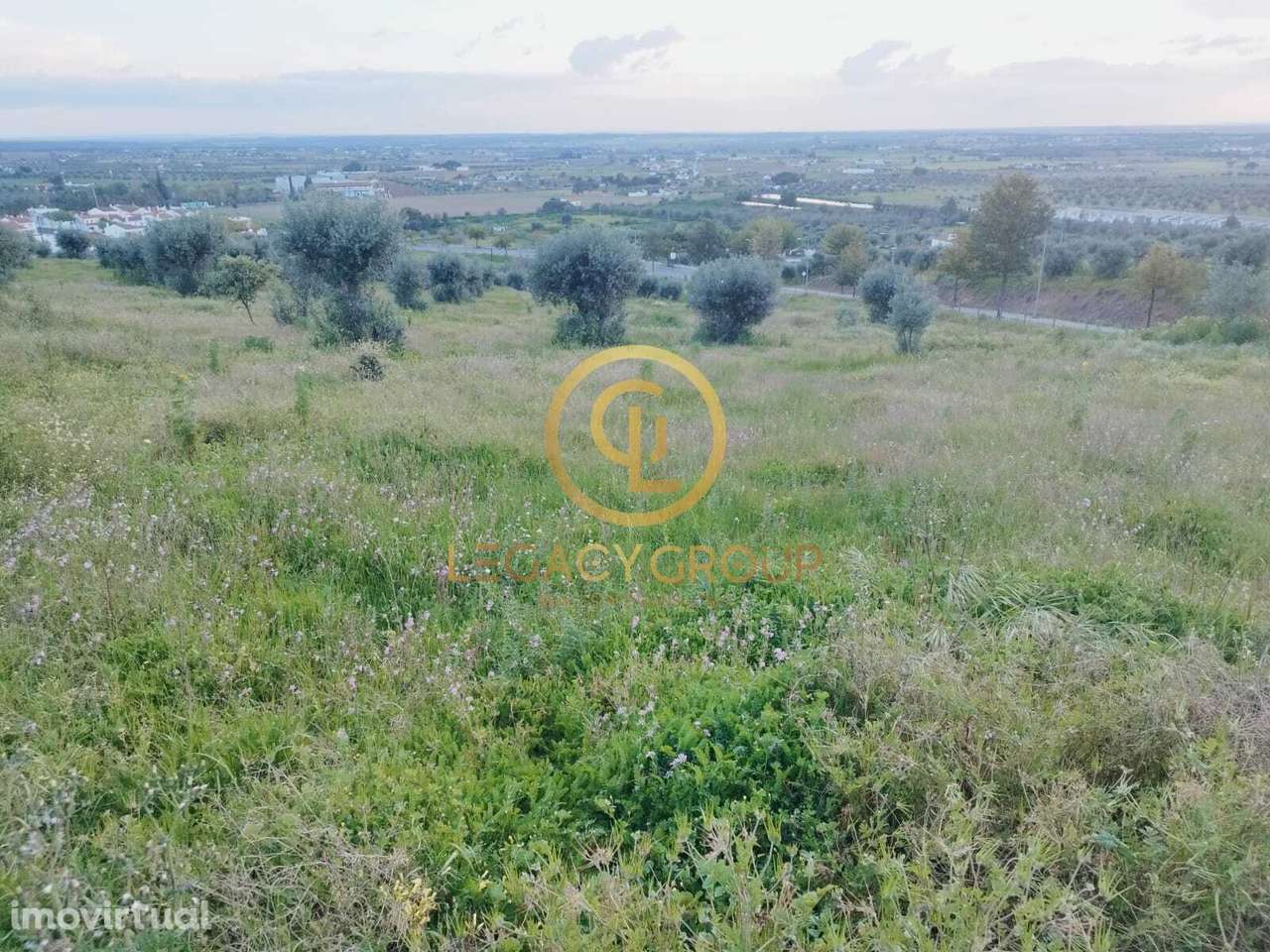 TERRENO DE 46.626m2 EM REDONDO - Grande imagem: 3/50