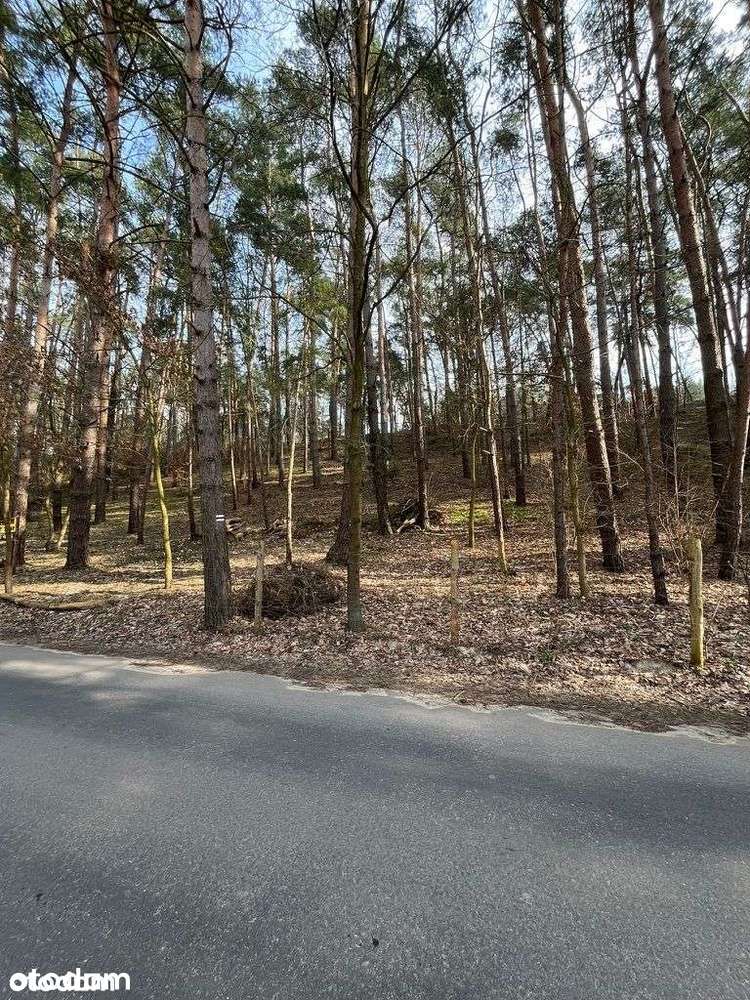 Działka budowlana nad jeziorem Chrzypsko Wielkie - Pełny obrazek: 4/18