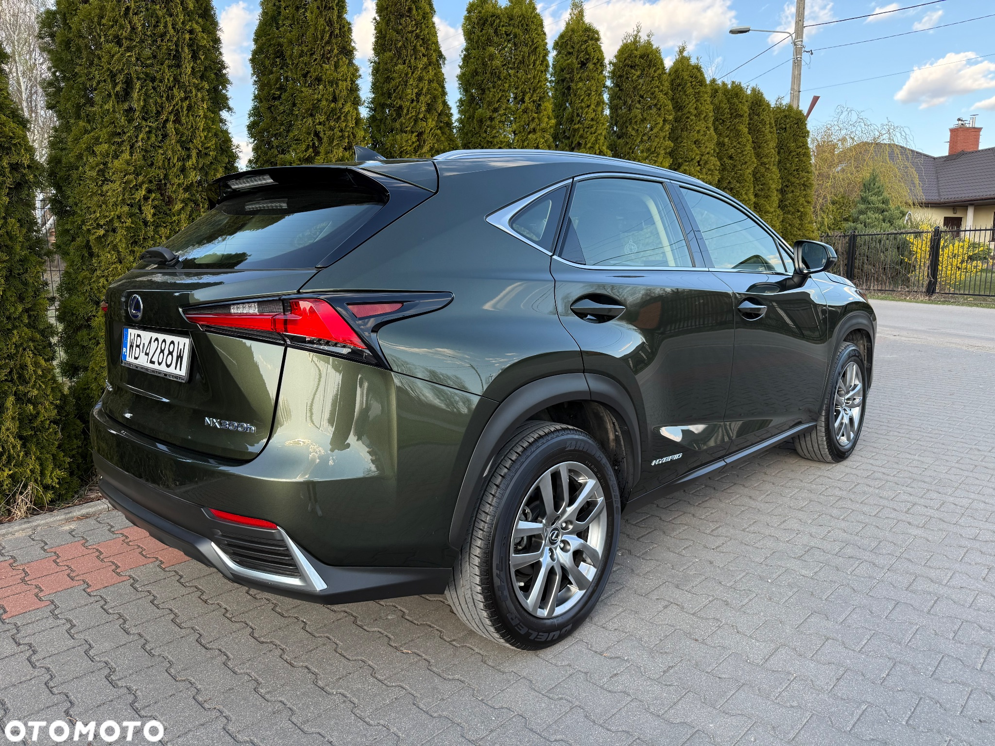 Lexus NX - 12