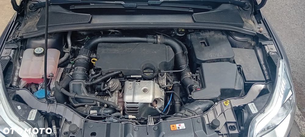 Ford Focus - 9