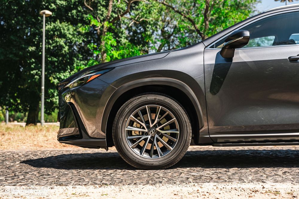 Lexus NX 450h+ - 25