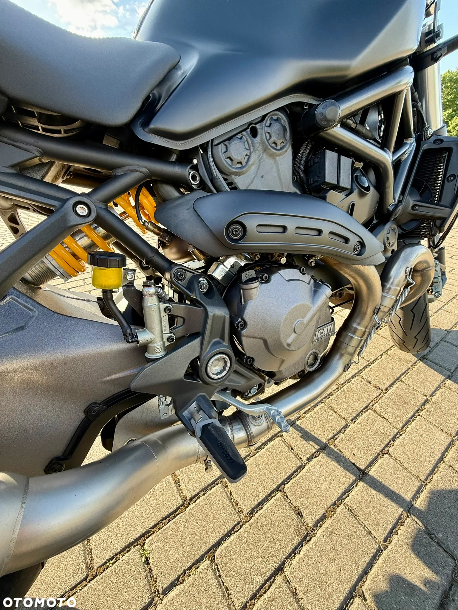 Ducati Monster - 13