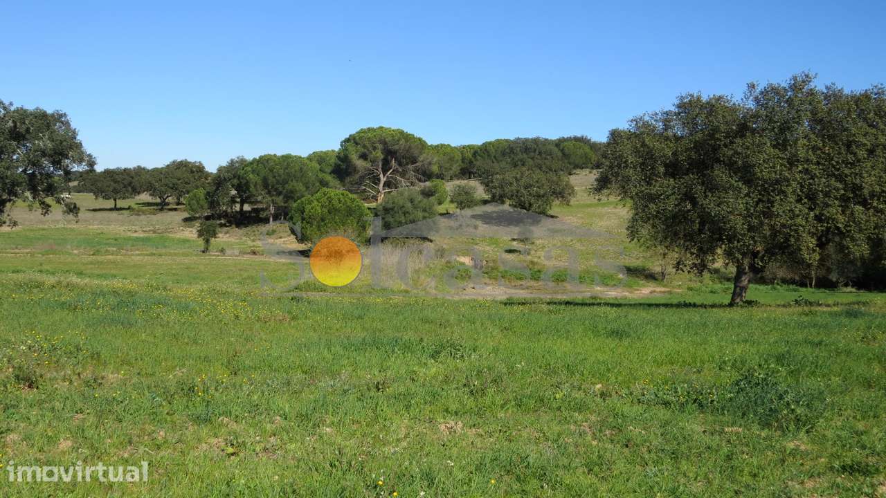 Terreno rústico de 13620 m² em Alcácer do Sal - Grande imagem: 4/7