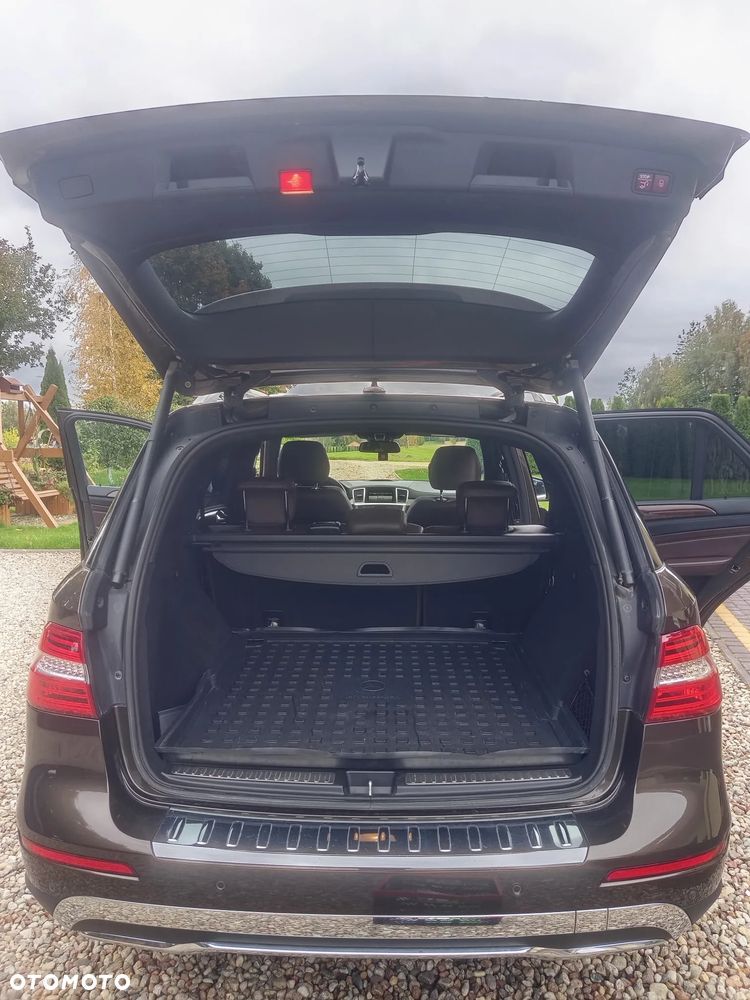 Mercedes-Benz ML 350 BlueTec 4-Matic - 19