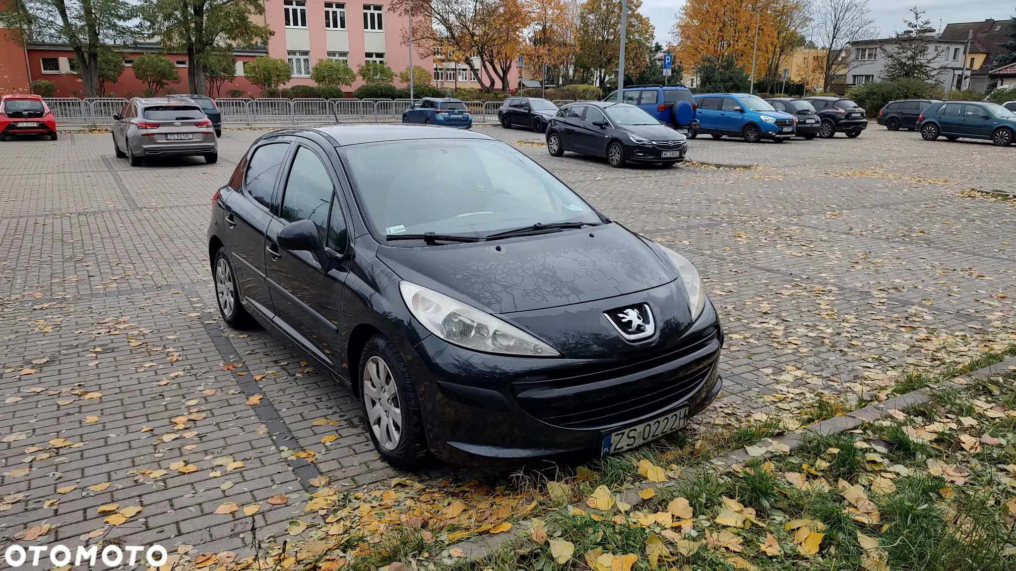 Peugeot 207 - 6