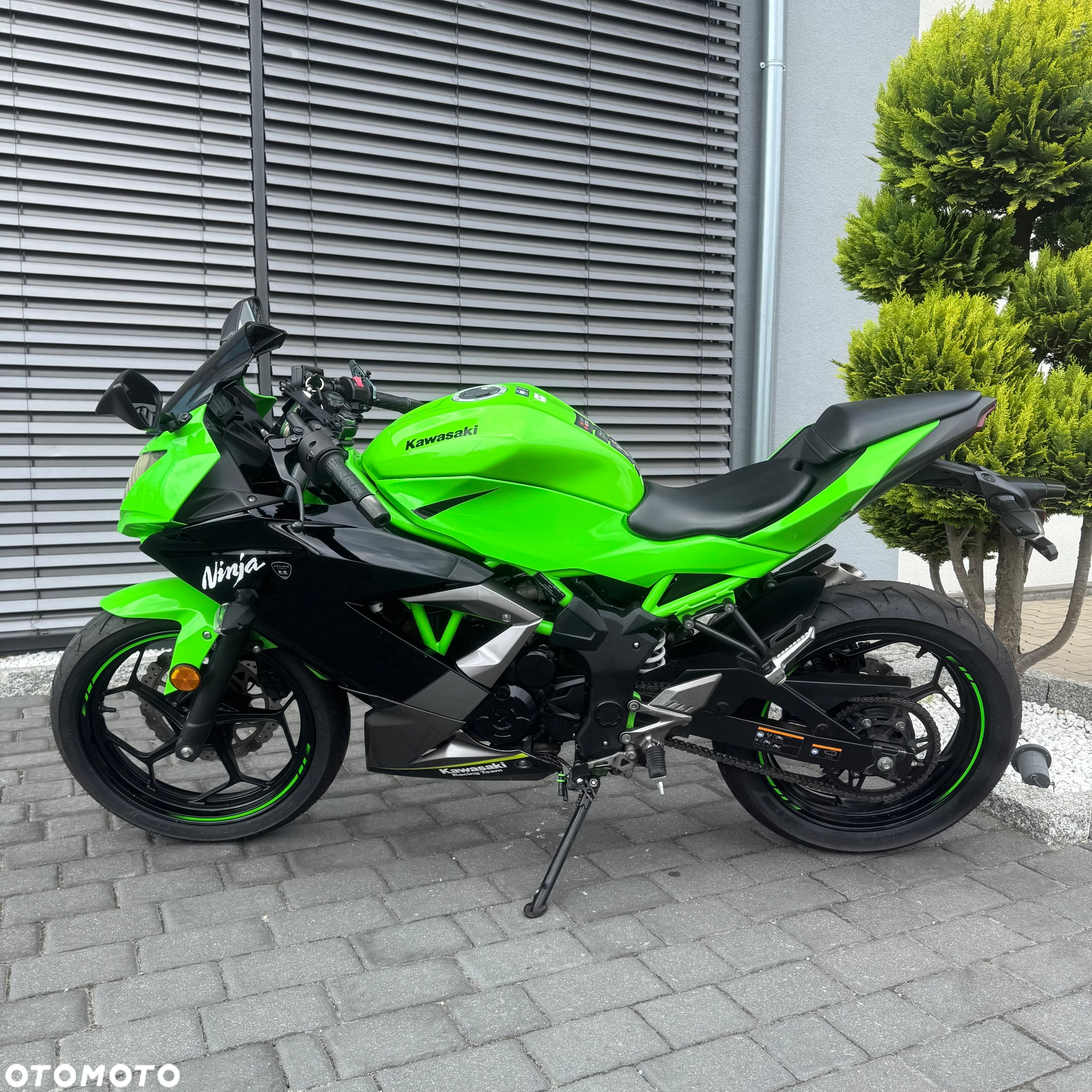 Kawasaki Ninja - 8