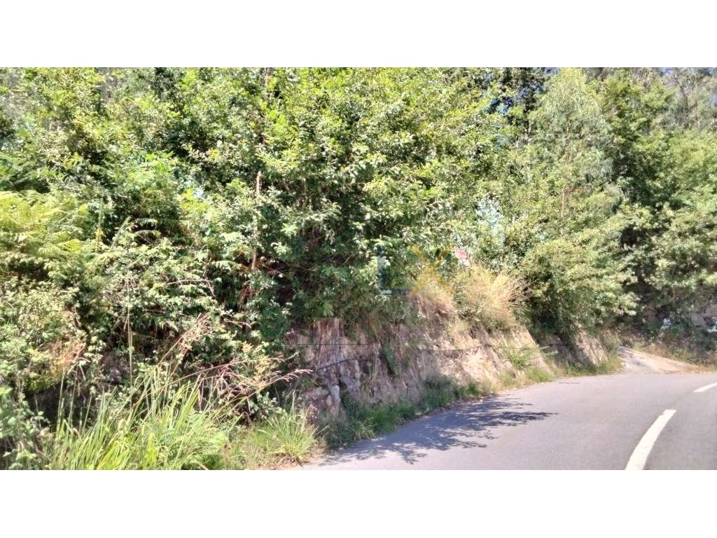 Terreno rústico com potencial para urbano á venda em Sever do Vouga!!! - Grande imagem: 3/14