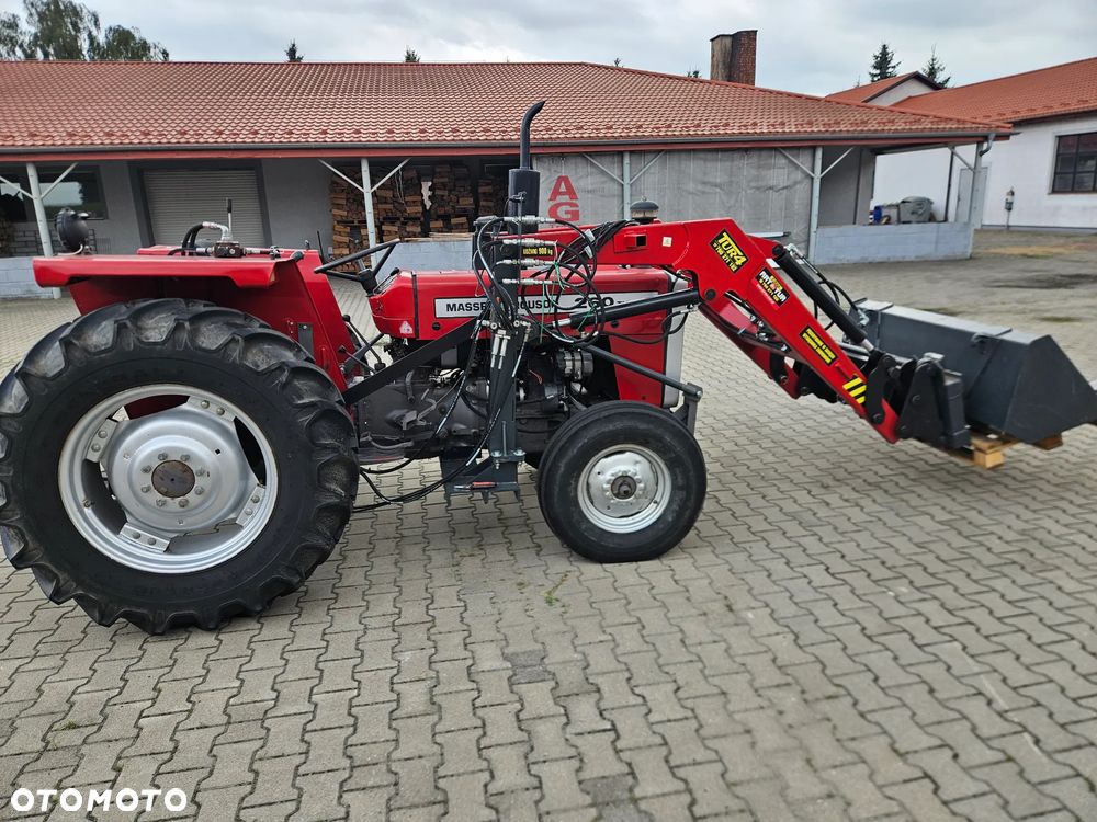 Massey Ferguson 260 turbo - 4