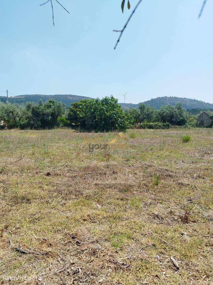 Terreno Urbano com 2.608m² em Moleanos - Grande imagem: 5/9