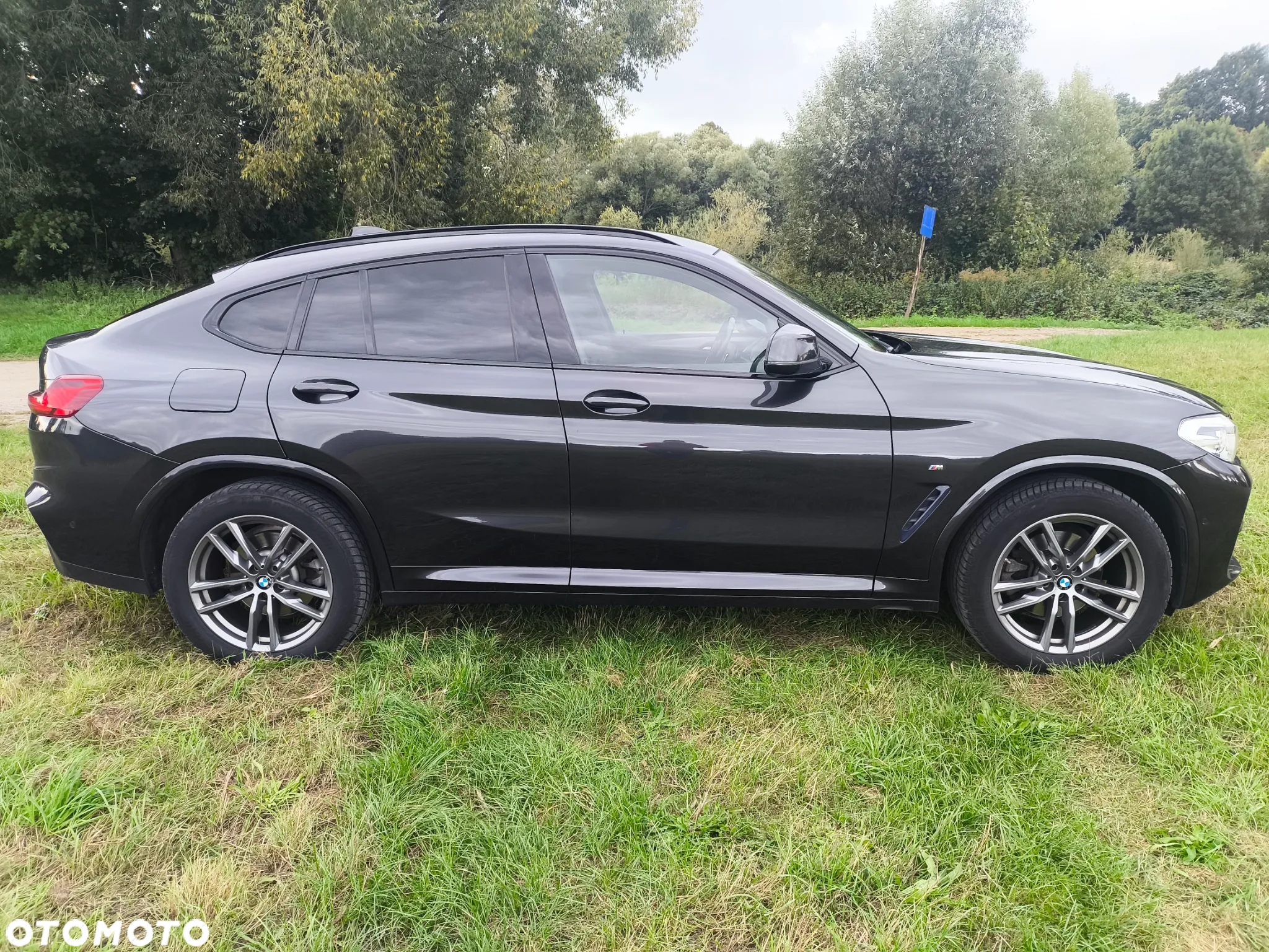 BMW X4 xDrive20d M Sport sport - 2