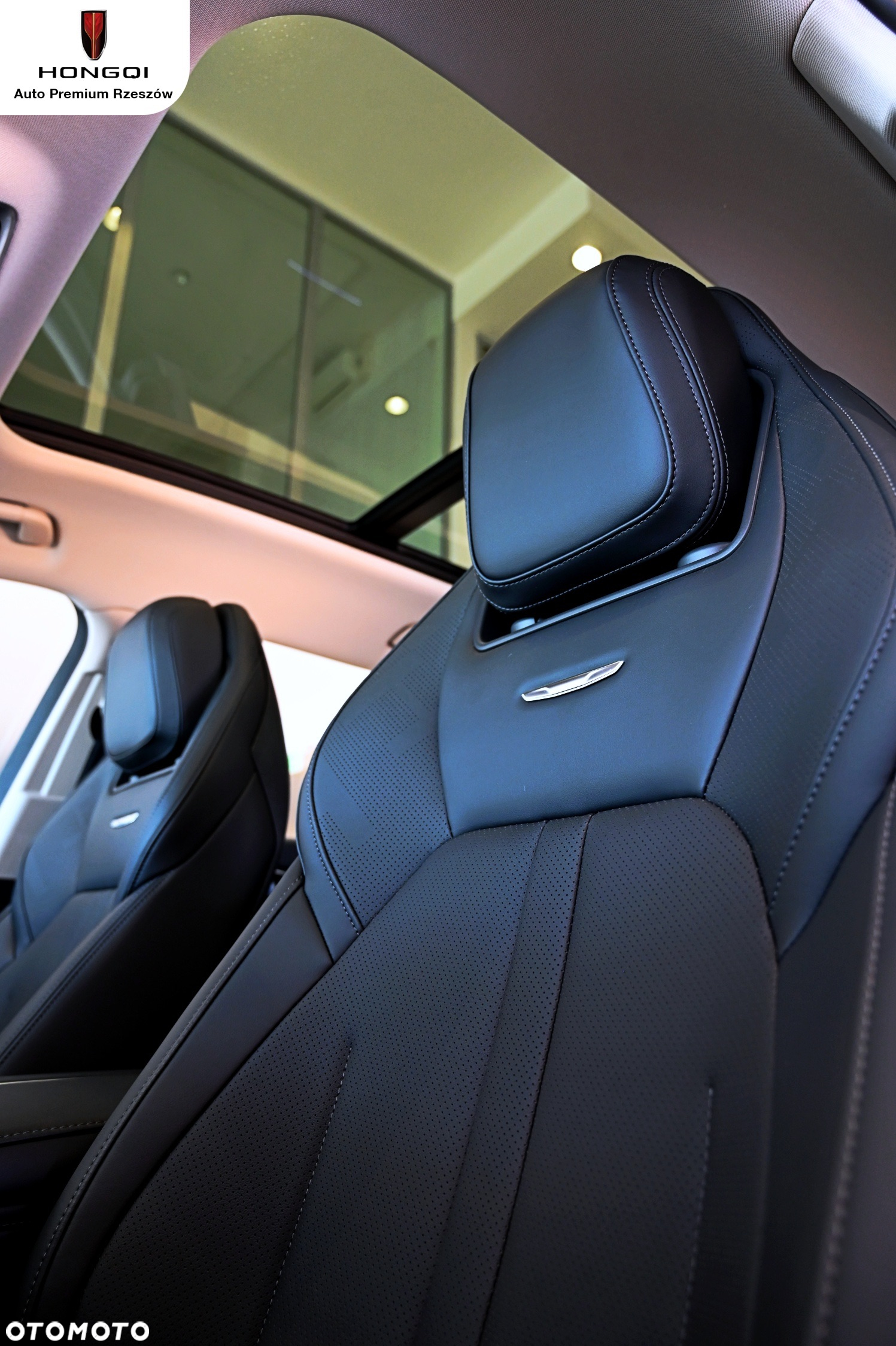 Hongqi HS3 - 17