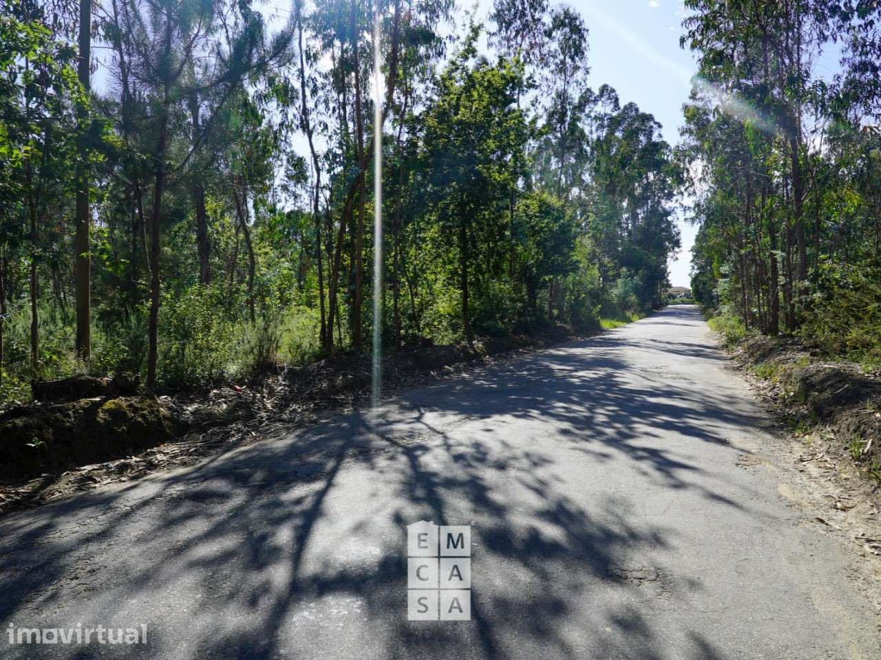 Armazém  Venda em Oliveira de Azeméis, Santiago de Riba-Ul, Ul, Macinh - Grande imagem: 5/15