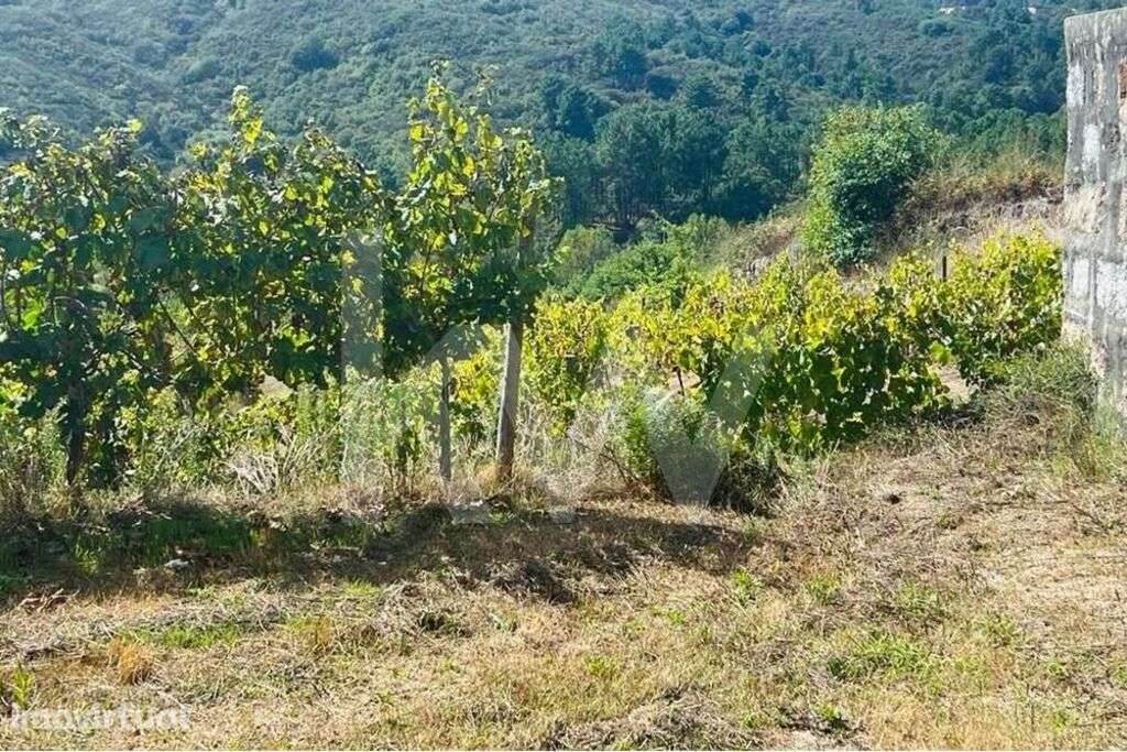 Terreno 2289/268 em Gove com 16.636m2, localizado em Baião - Grande imagem: 5/21