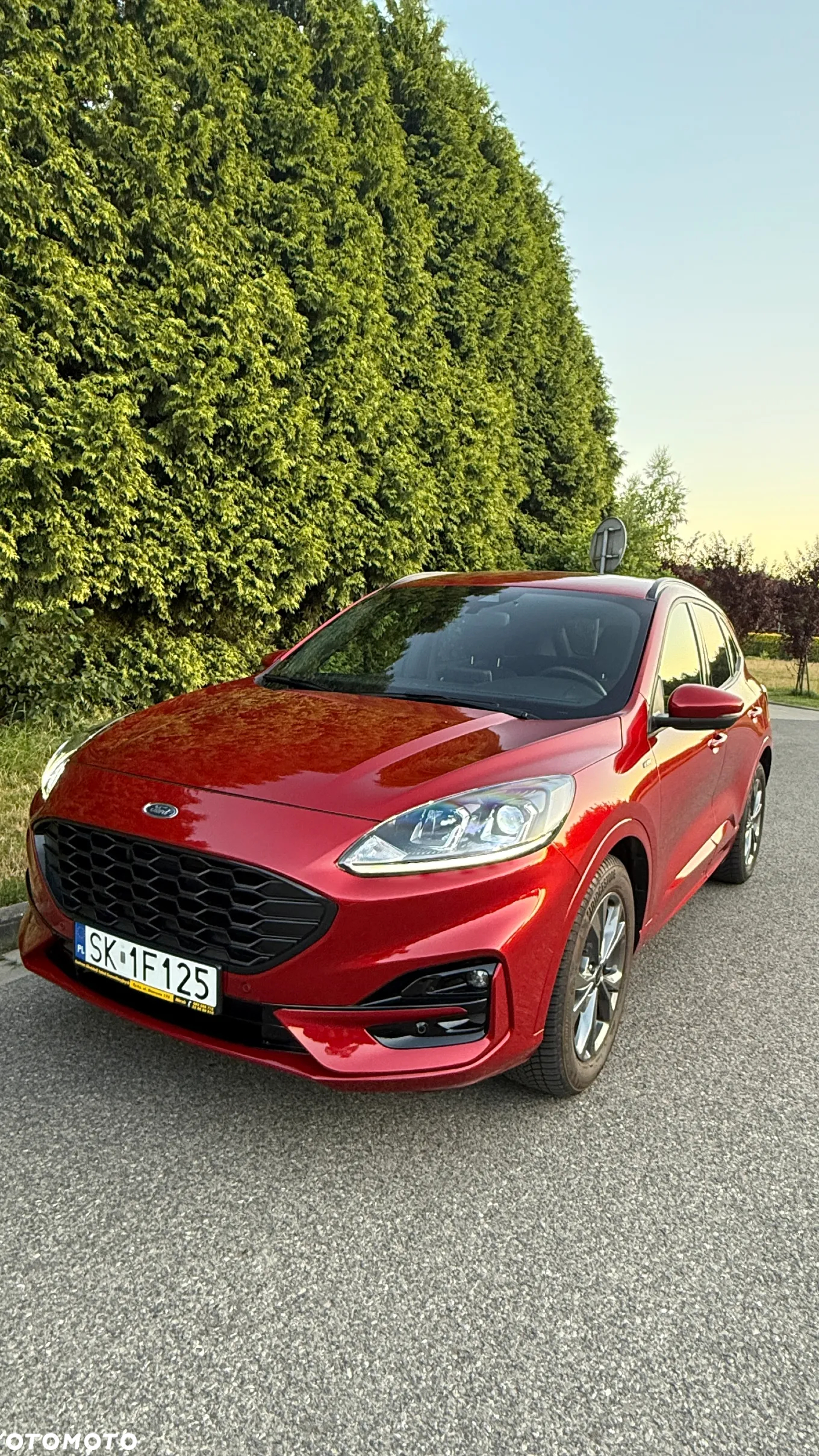 Ford Kuga 2.5 FHEV FWD ST-Line - 10