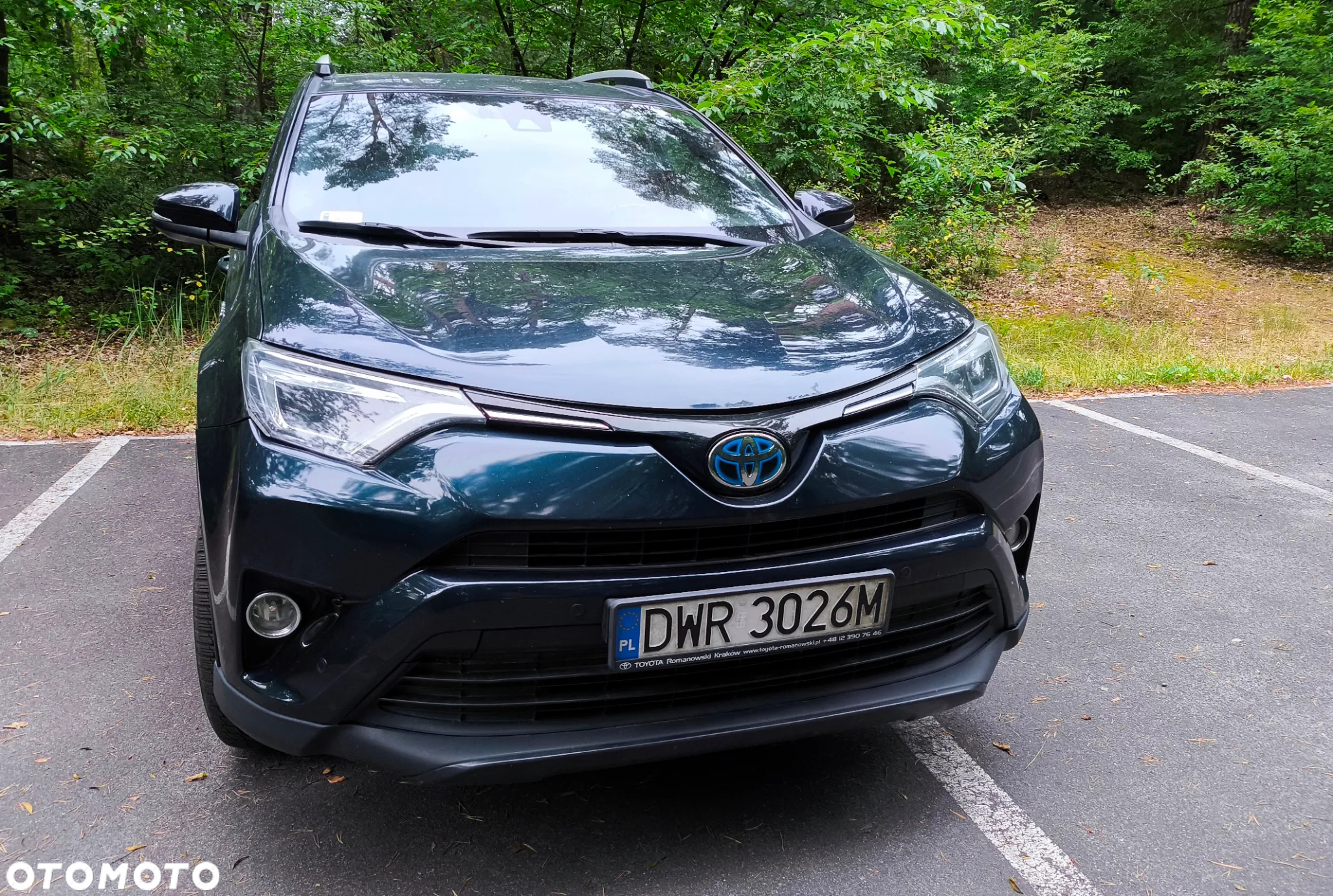 Toyota RAV4 Hybrid Prestige 4x2 - 2