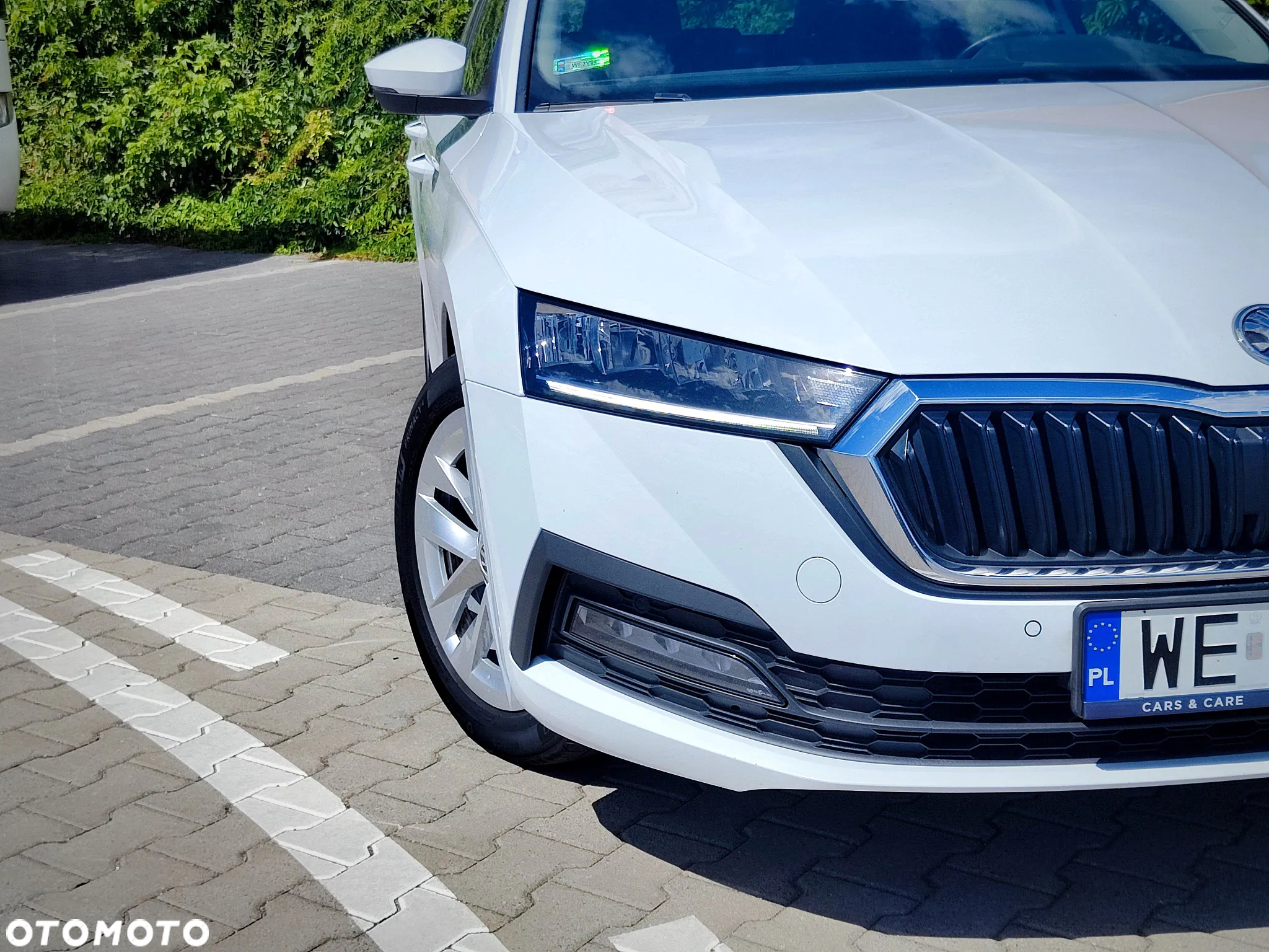 Skoda Octavia 1.5 TSI ACT Ambition DSG - 8