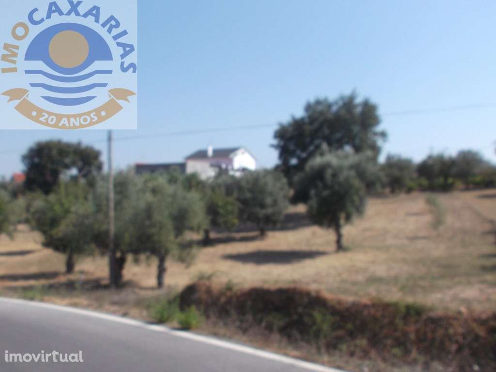 Terreno para construção. - Grande imagem: 3/3