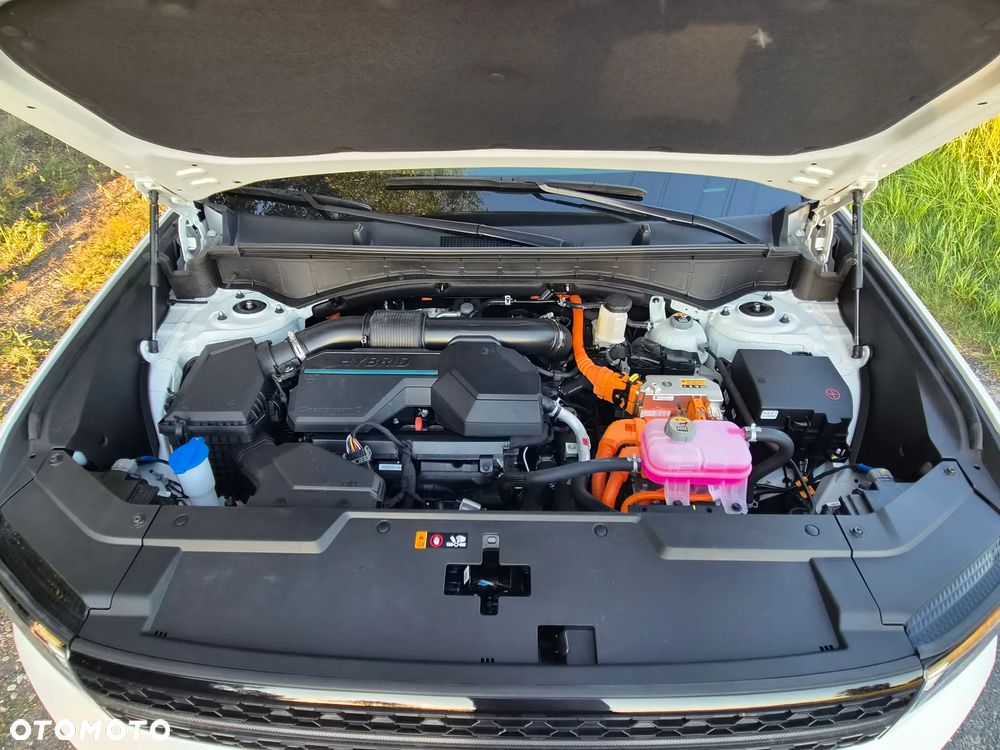 Hyundai Santa Fe 1.6 T-GDI HEV Platinum - 29