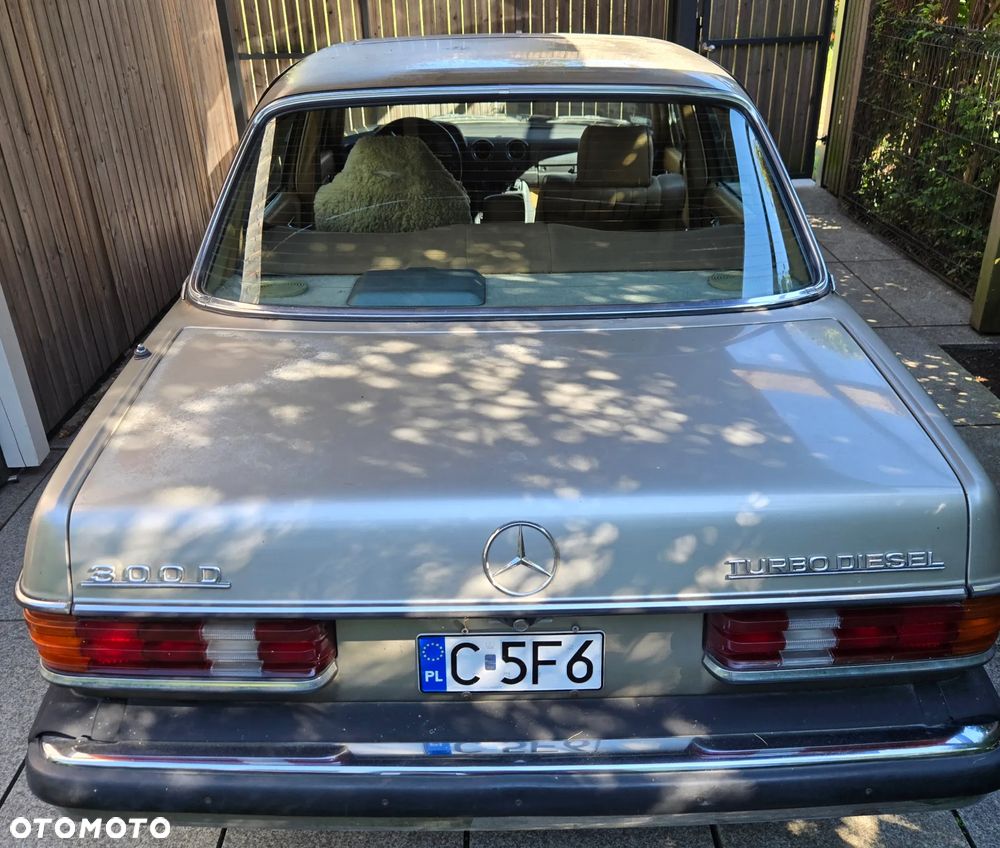 Mercedes-Benz W123 - 4