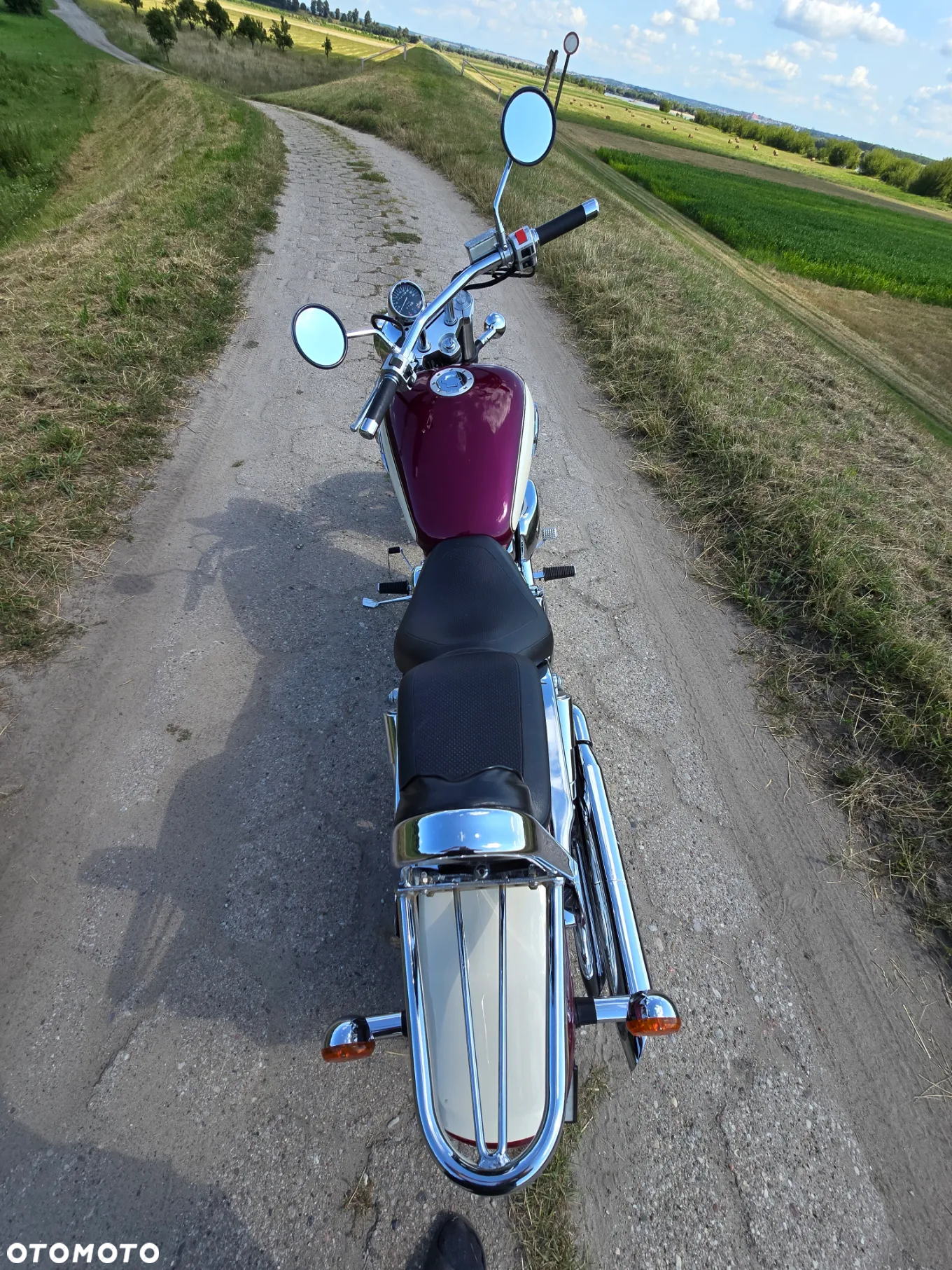 Suzuki Marauder - 4