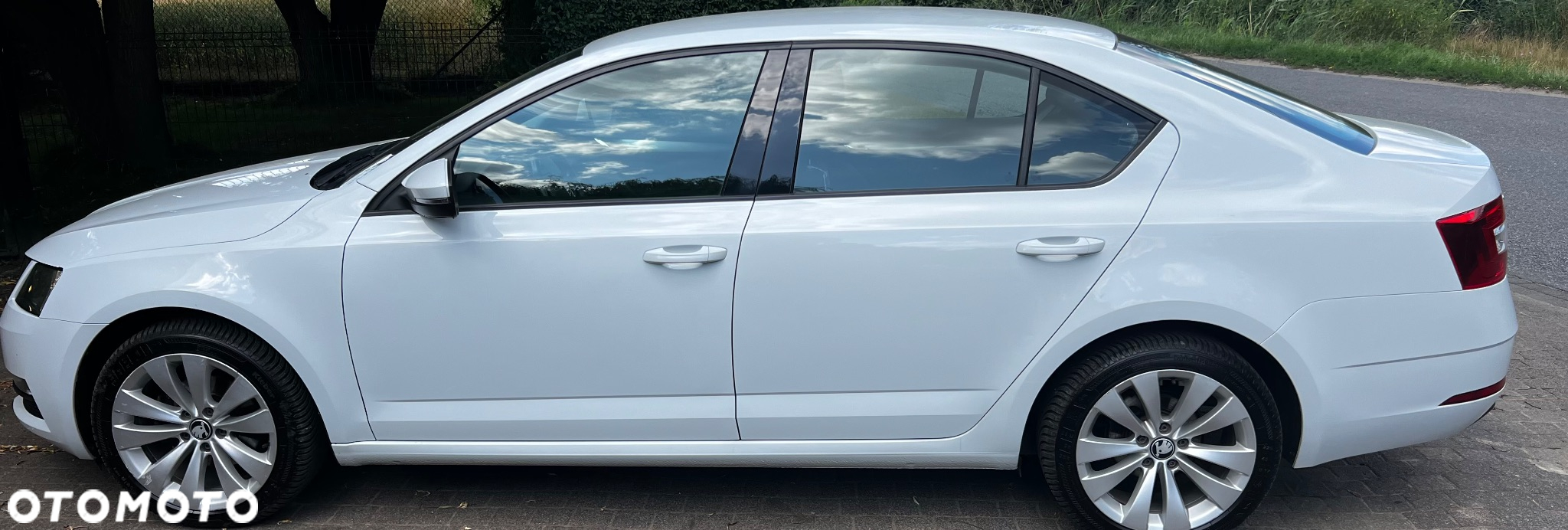 Skoda Octavia 1.0 TSI Ambition DSG - 7