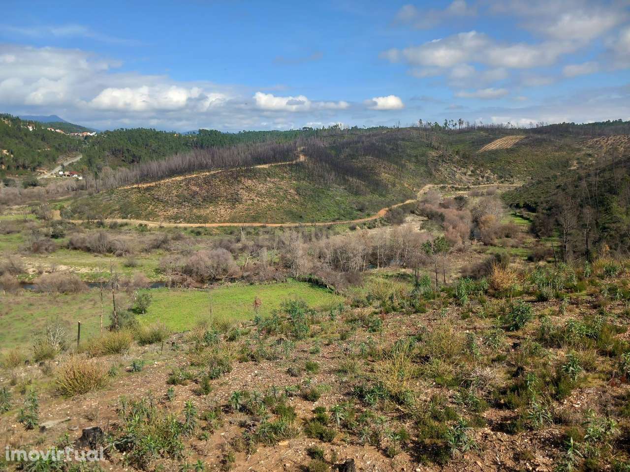 Terreno Rustico com 6220m2 Sobrainho da Ribeira-Sarzedas - Grande imagem: 5/17