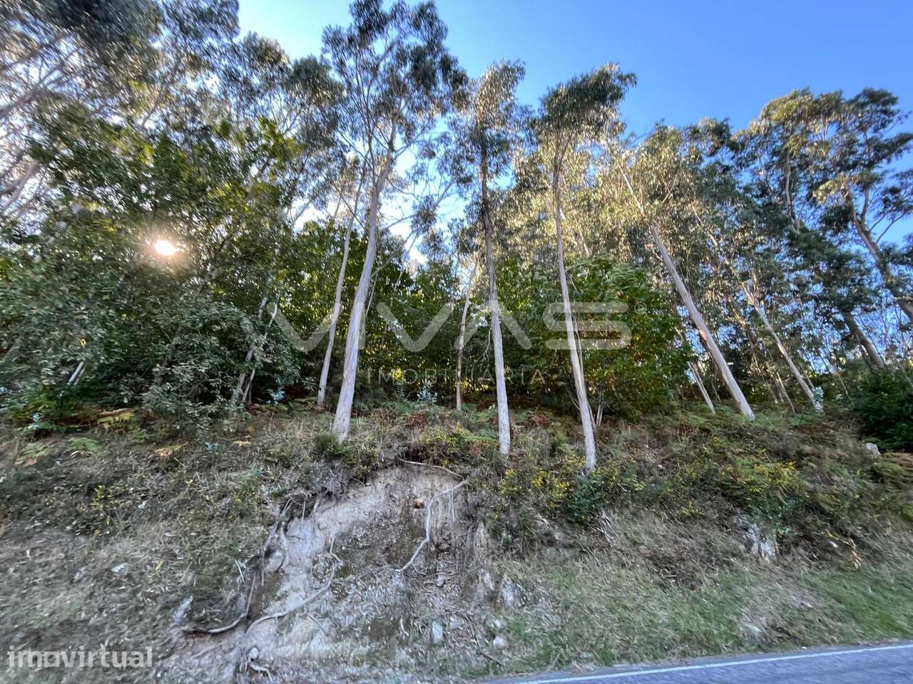 Terreno Rústico  Venda em Louredo,Vieira do Minho - Grande imagem: 2/2