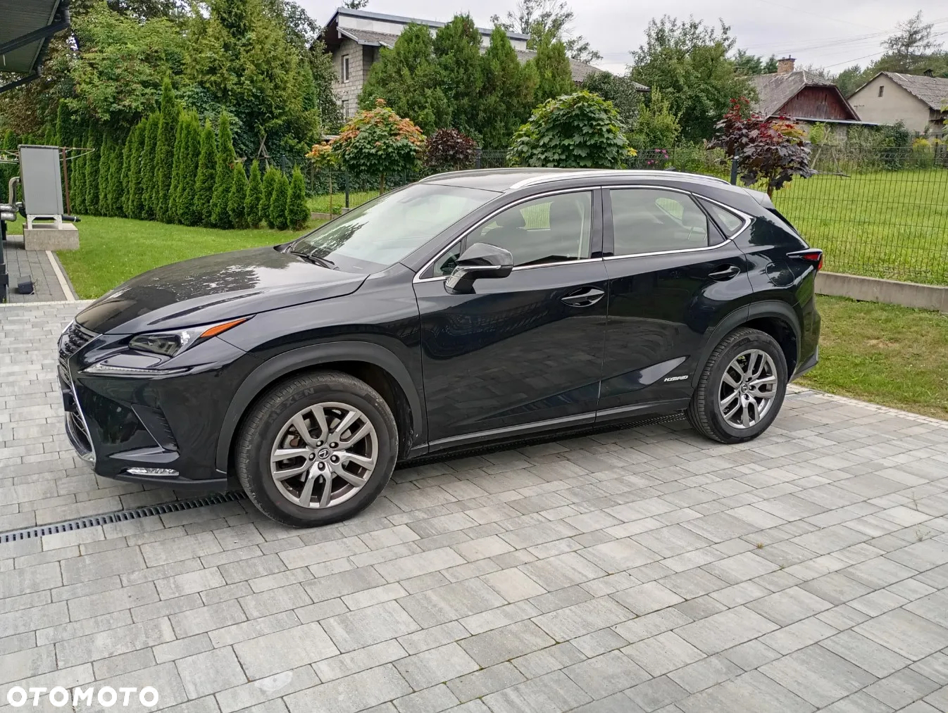 Lexus NX 300h Elegance 2WD - 2