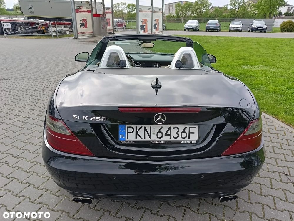 Mercedes-Benz SLK 250 (BlueEFFICIENCY) 7G-TRONIC - 5