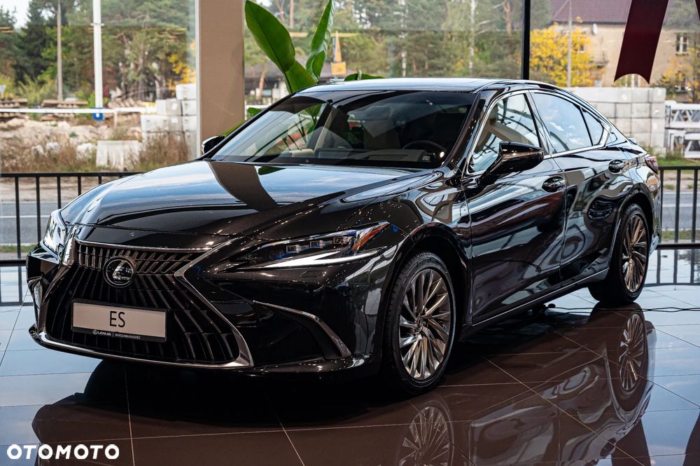 Lexus ES 300h Omotenashi - 24
