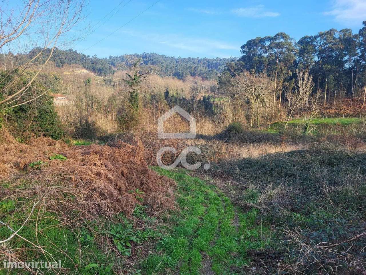 Terreno Agrícola em Silvares (São Martinho) - Fafe - Grande imagem: 3/23