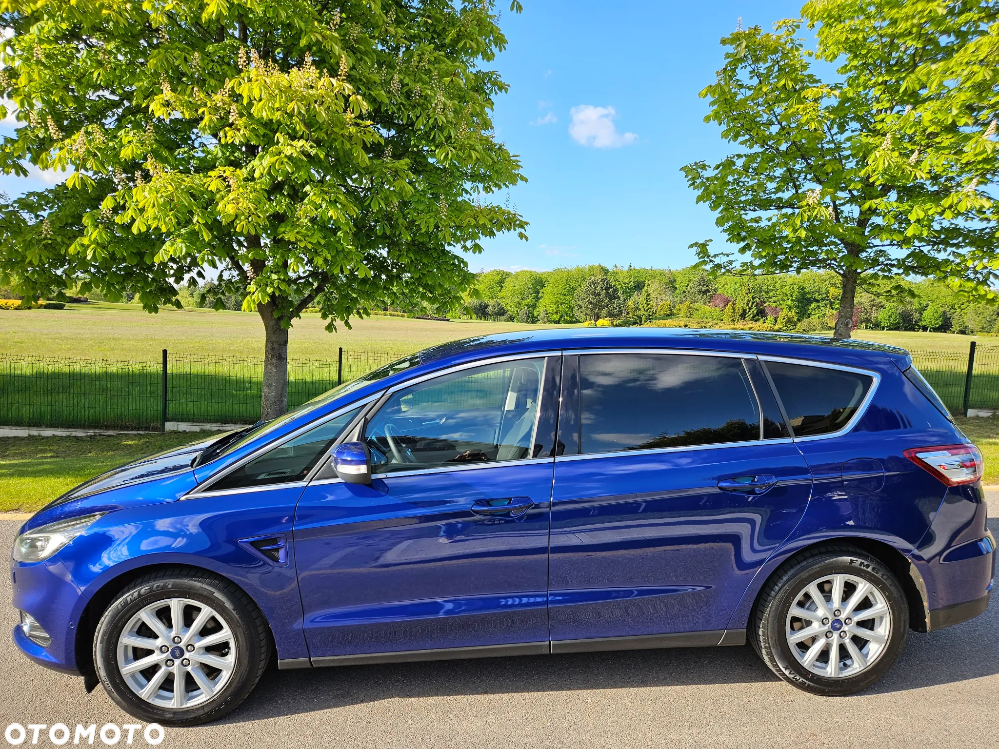 Ford S-Max 2.0 TDCi Titanium PowerShift - 10