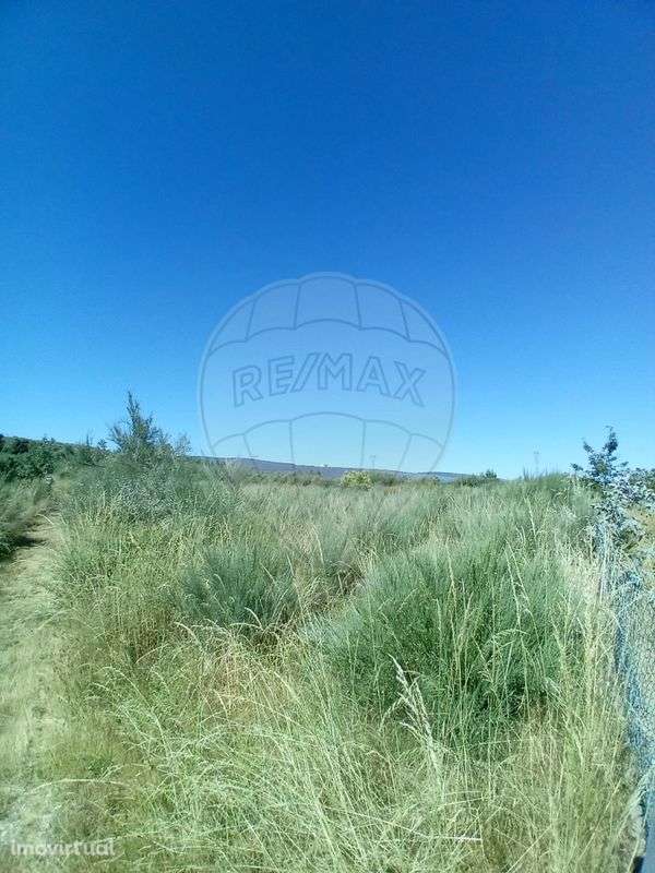 Terreno  para venda - Grande imagem: 2/5