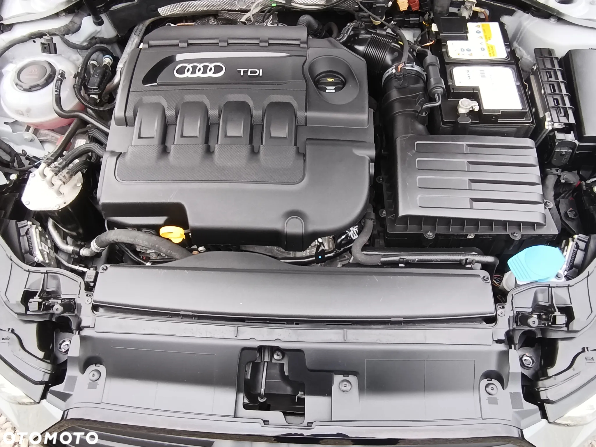 Audi A3 - 24