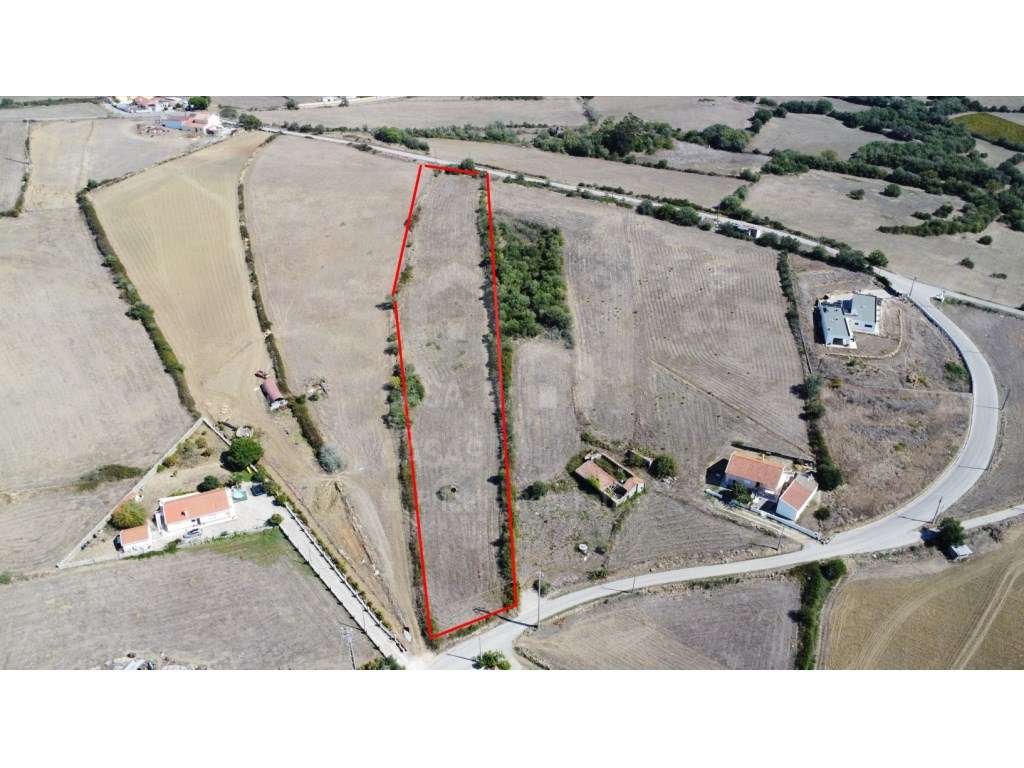 Vende Terreno - Ericeira 18 km, A Casa das Casas - Grande imagem: 4/17