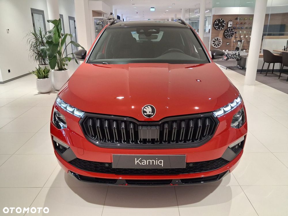 Skoda Kamiq - 9