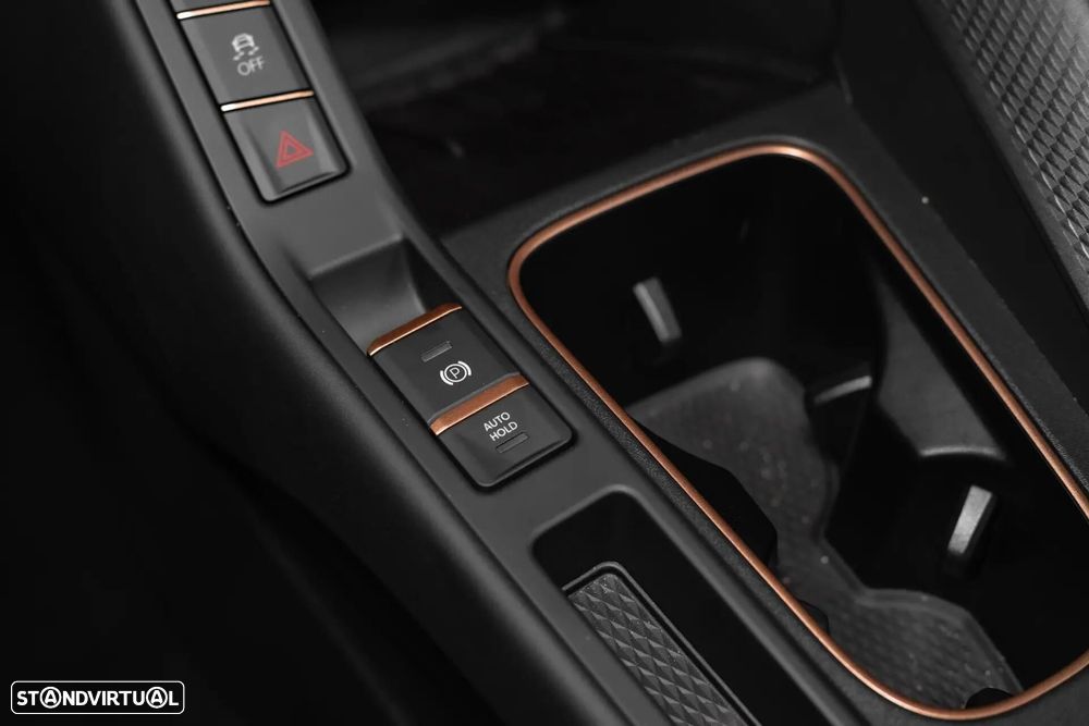 Cupra Terramar - 39