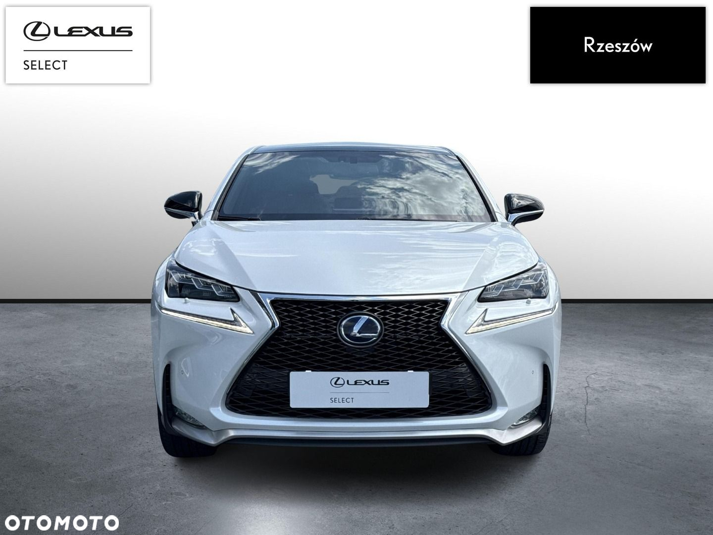 Lexus NX - 8