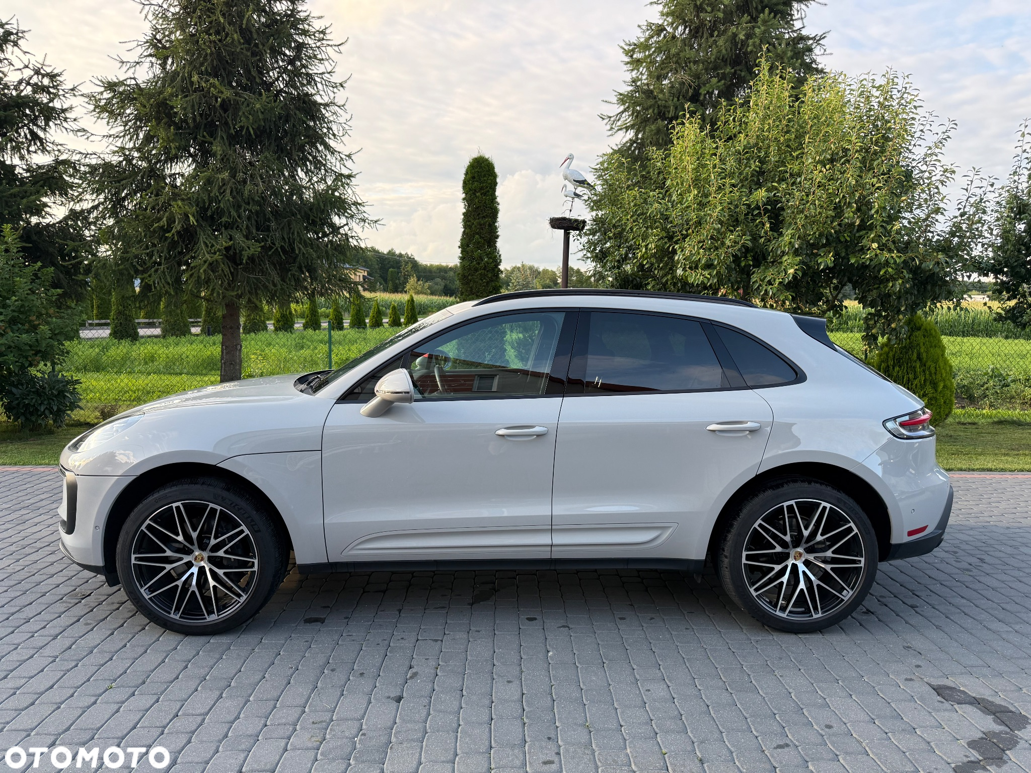 Porsche Macan Standard - 4