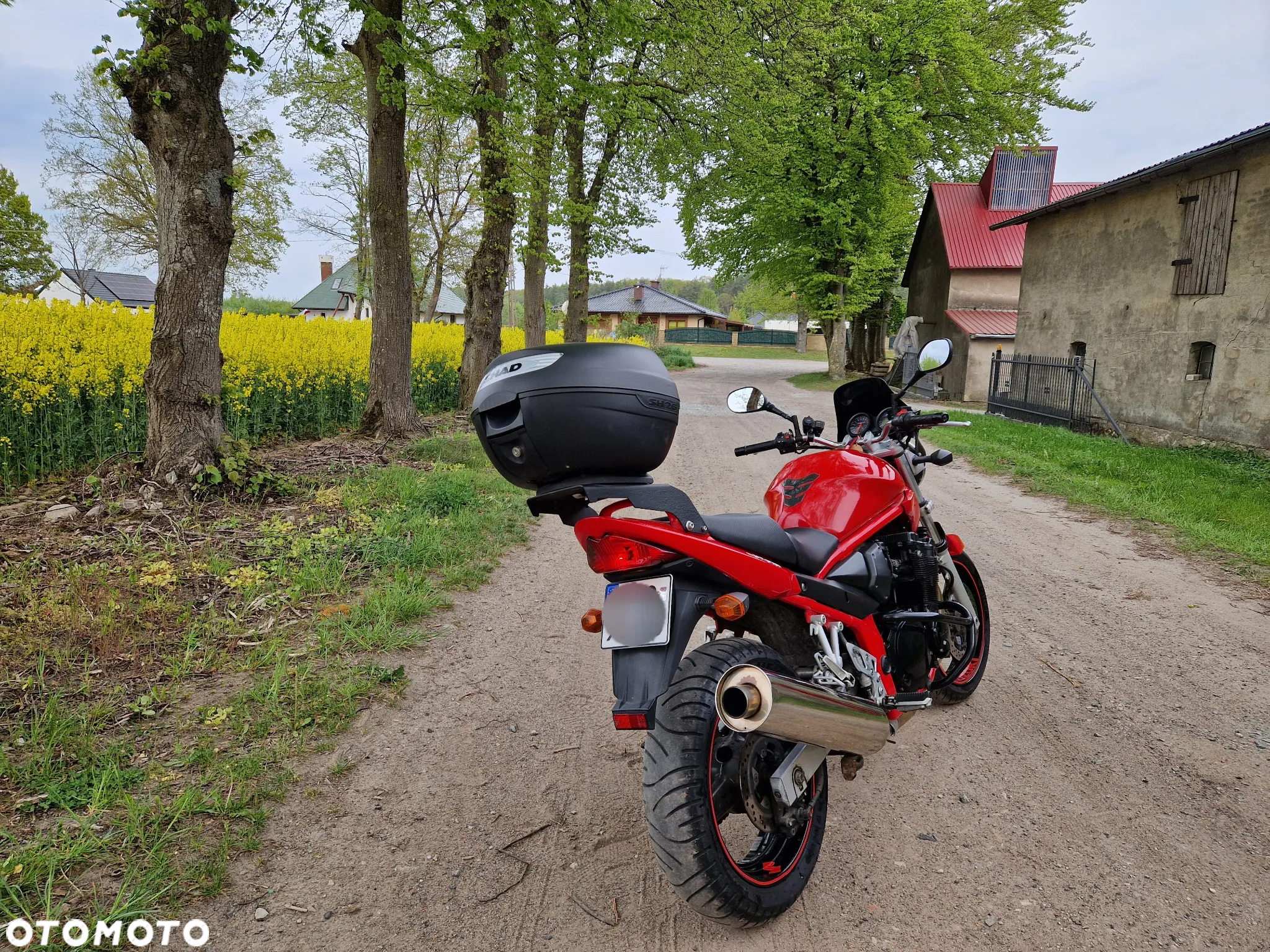 Suzuki Bandit - 6