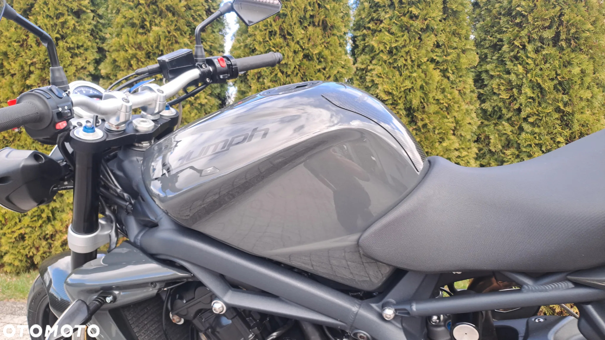 Triumph Speed Triple - 11