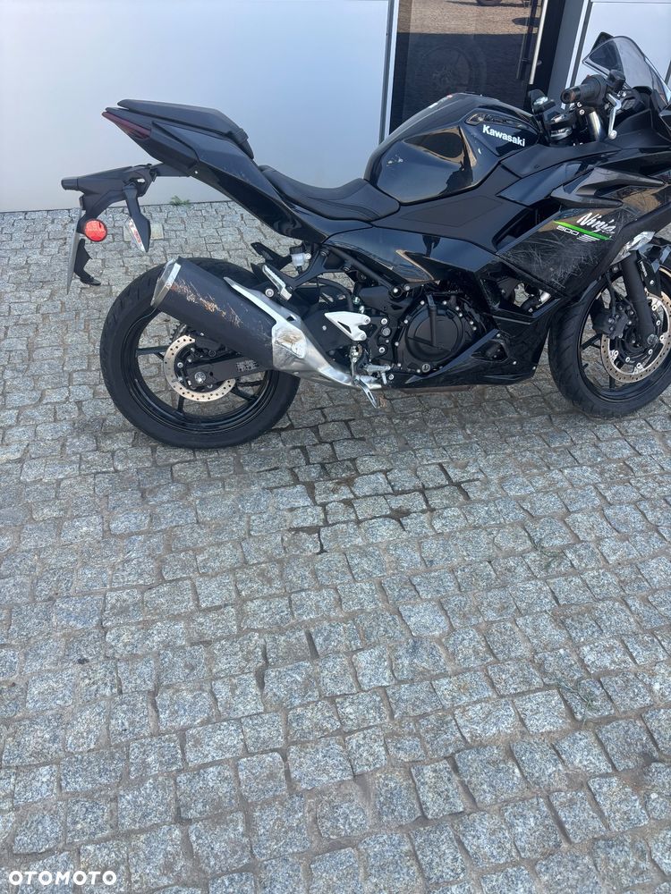 Kawasaki Ninja - 10
