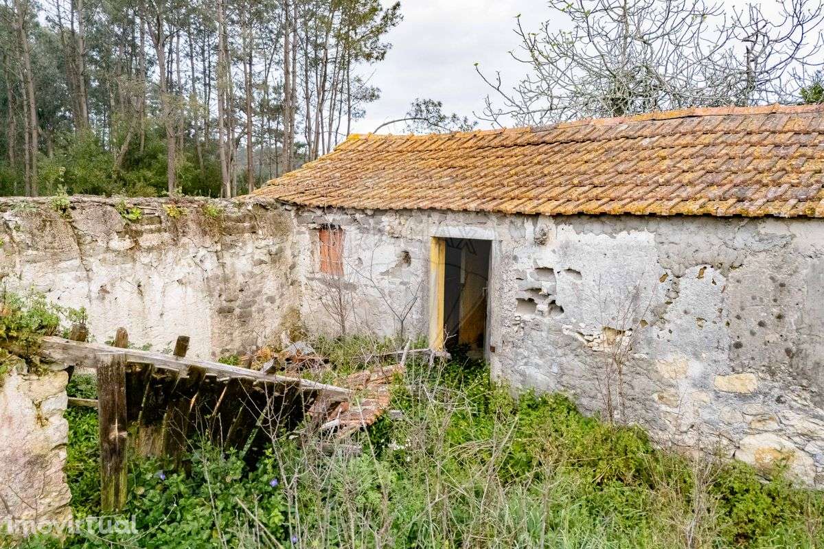 Quinta T2 para venda - Grande imagem: 4/11