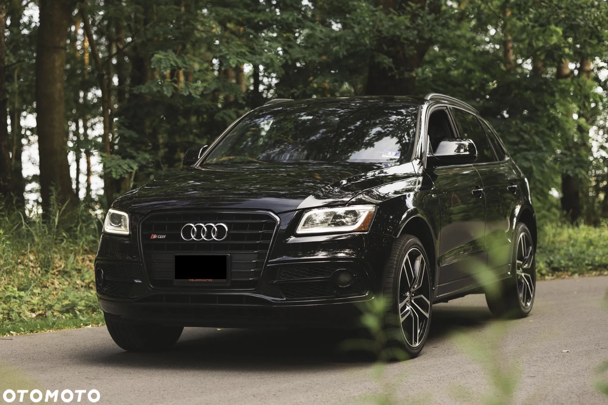 Audi SQ5 3.0 TFSI Quattro Tiptronic - 1