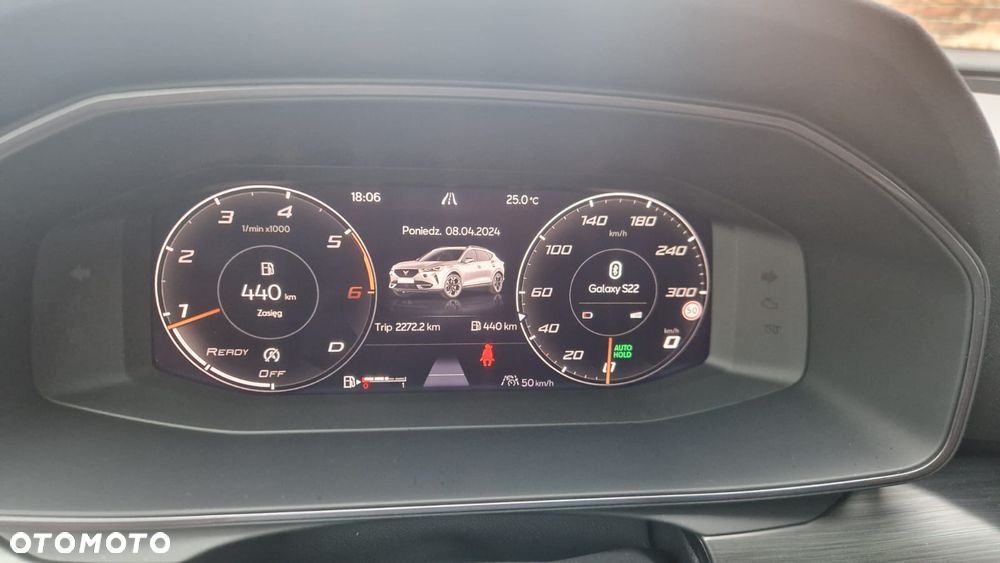 Cupra Formentor - 30