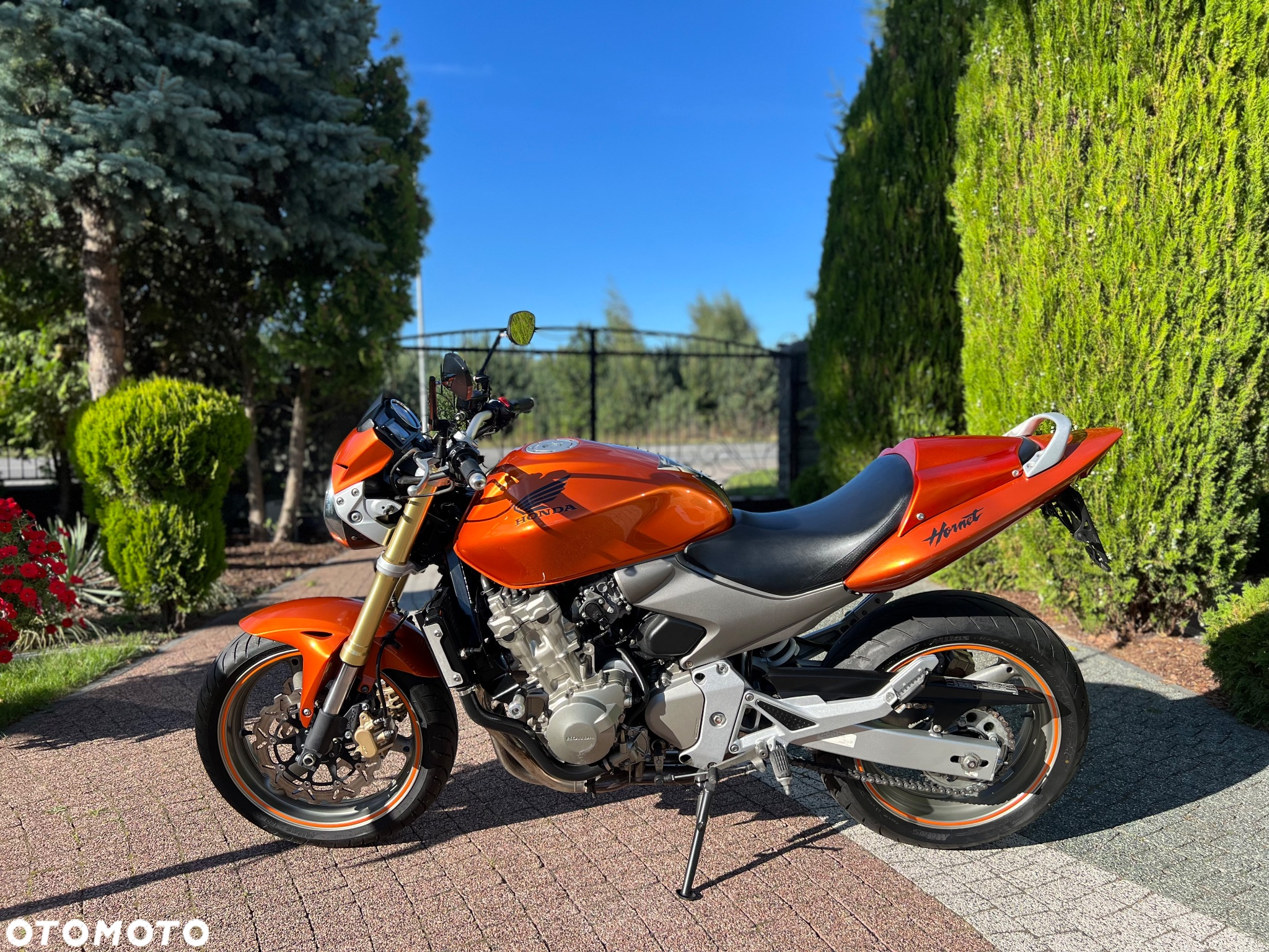 Honda Hornet - 24