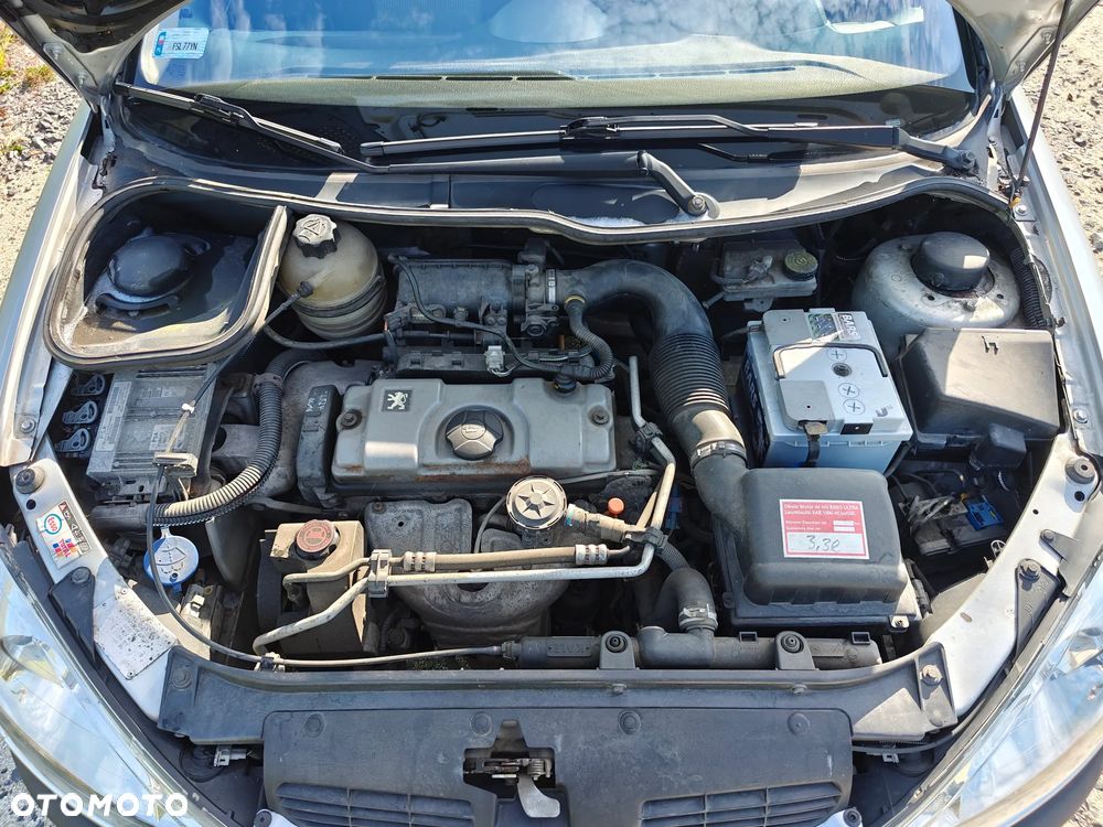 Peugeot 206 - 31