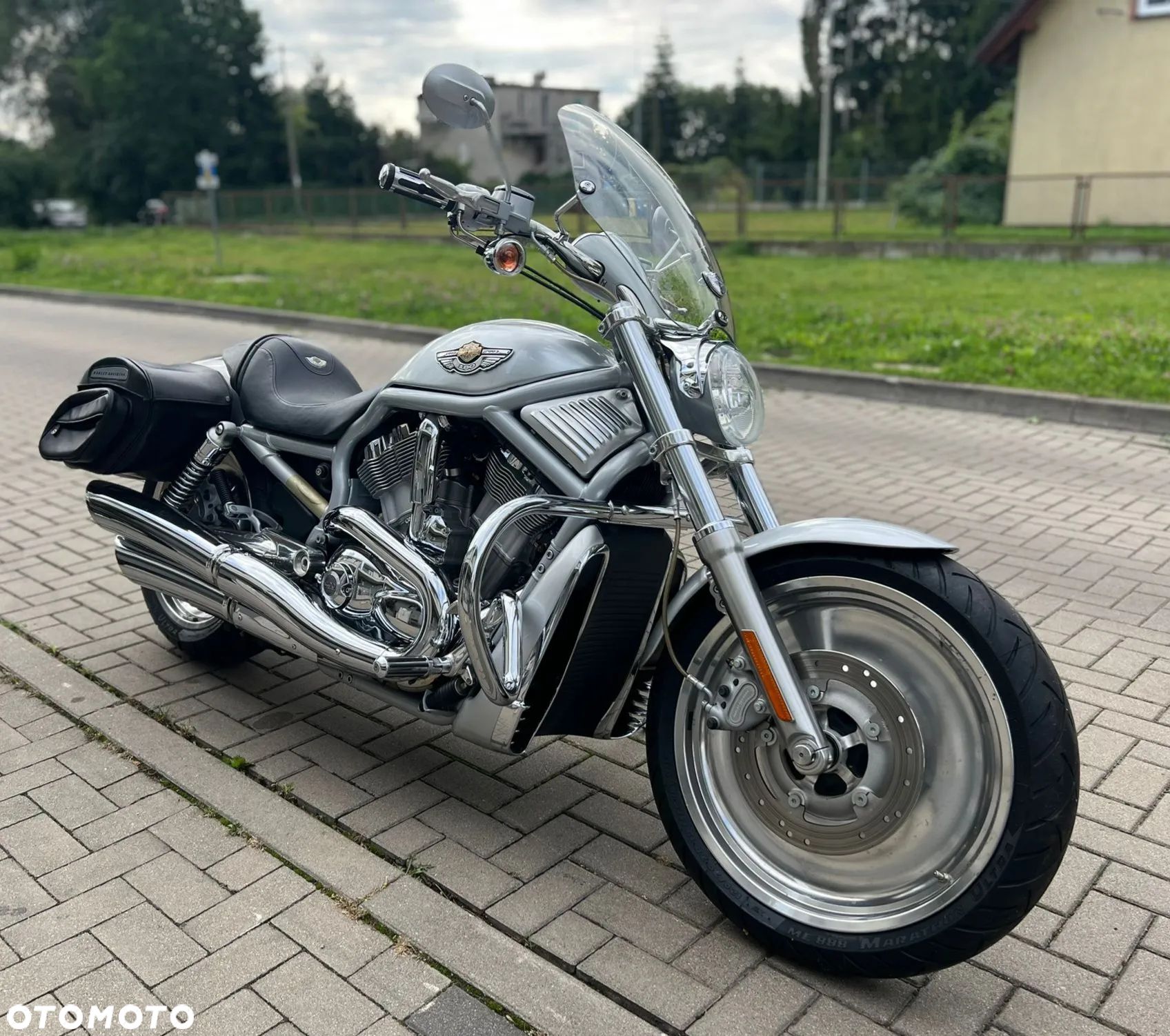 Harley-Davidson Softail V-Rod - 1