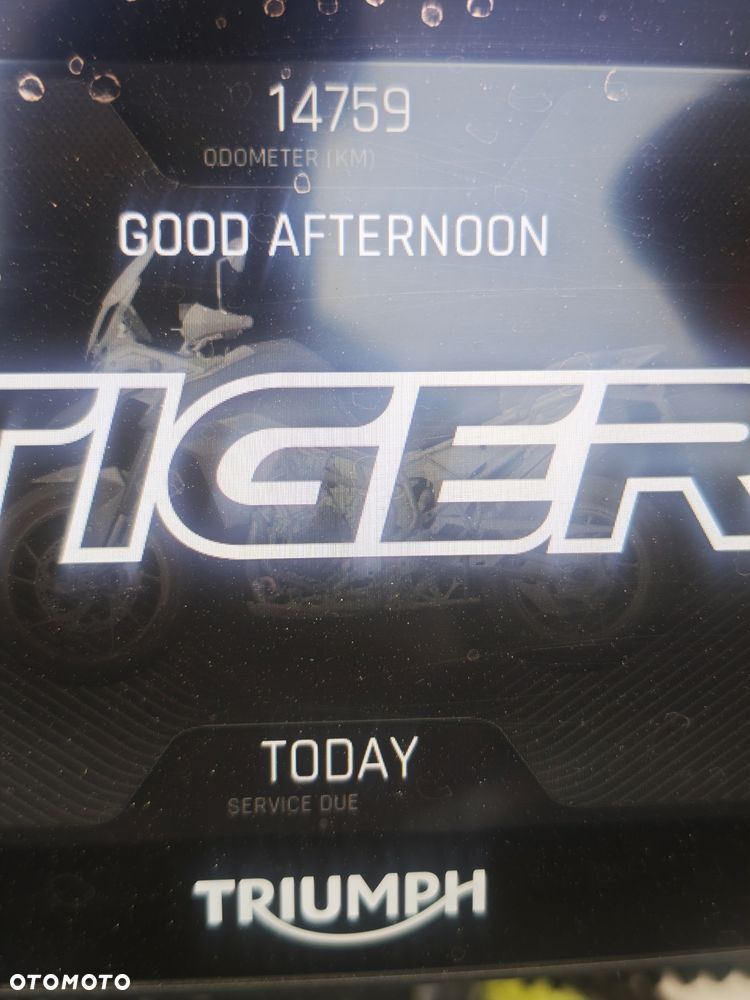 Triumph Tiger - 4